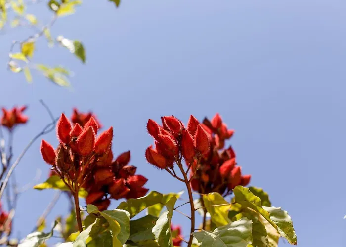 Pousada com piscina: Condomínio Shambala Piri